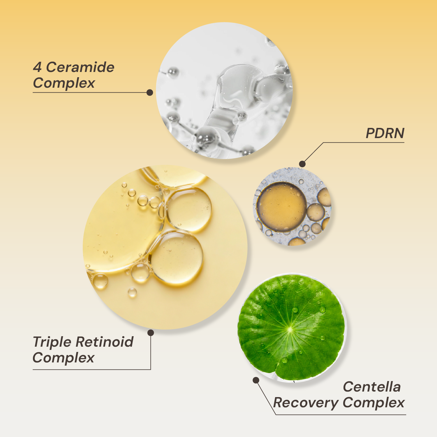 Retinol Renewal Set